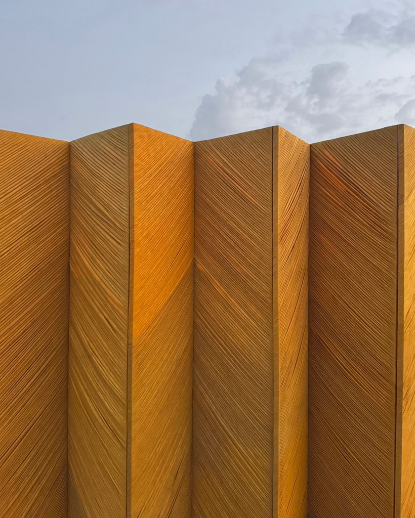 LES RAYONS
Alexandre Gourçon 
Textile . Curcuma . feuille de mangues
2024

Une œuvre conçue dans le cadre de l’exposition Promesse de Joël Andrianomearisoa à la Fondation Zinsou . Ouidah . Bénin 

Jusqu’au 31 Août 2025

#AlexandreGourcon #FondationZinsou #Benin #Cotonou #Ouidah