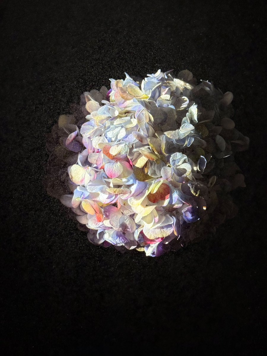 RashidBin3's tweet image. #shotoniphone #iPhone16Promax #shotandeditedoniphone