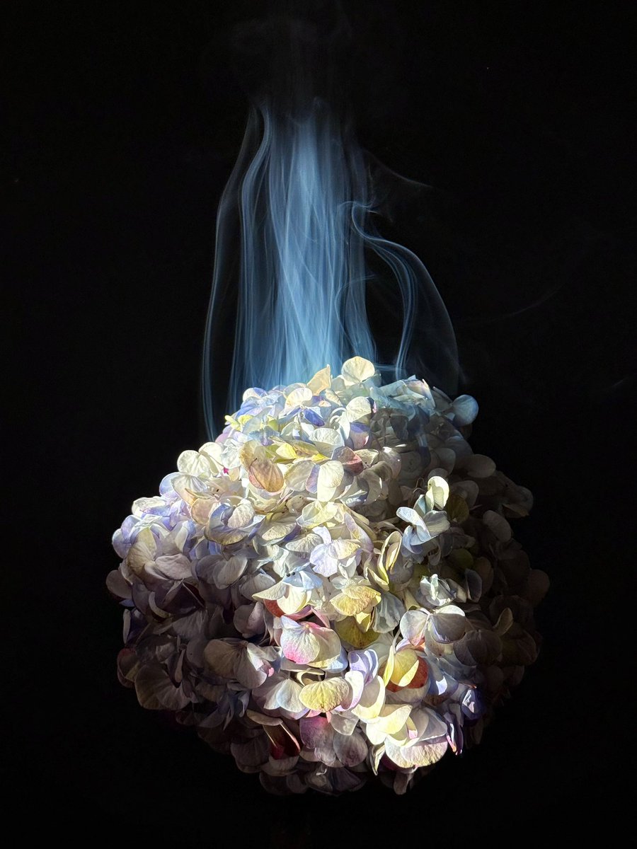 RashidBin3's tweet image. #shotoniphone #iPhone16Promax #shotandeditedoniphone