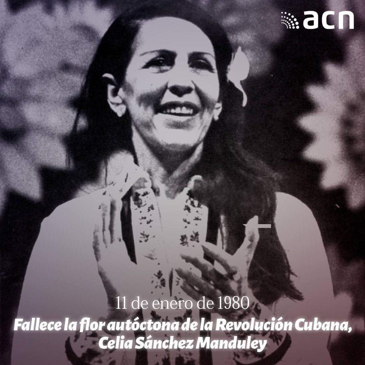 mariofsabines's tweet photo. 🇨🇺 #Hoy  aparece para muchos el recuerdo de  Celia Sánchez Manduley, la primera mujer combatiente del Ejército Rebelde, en la Sierra Maestra.
#Matanzas #MujeresEnRevolución https://t.co/Oyiwm1DgxQ