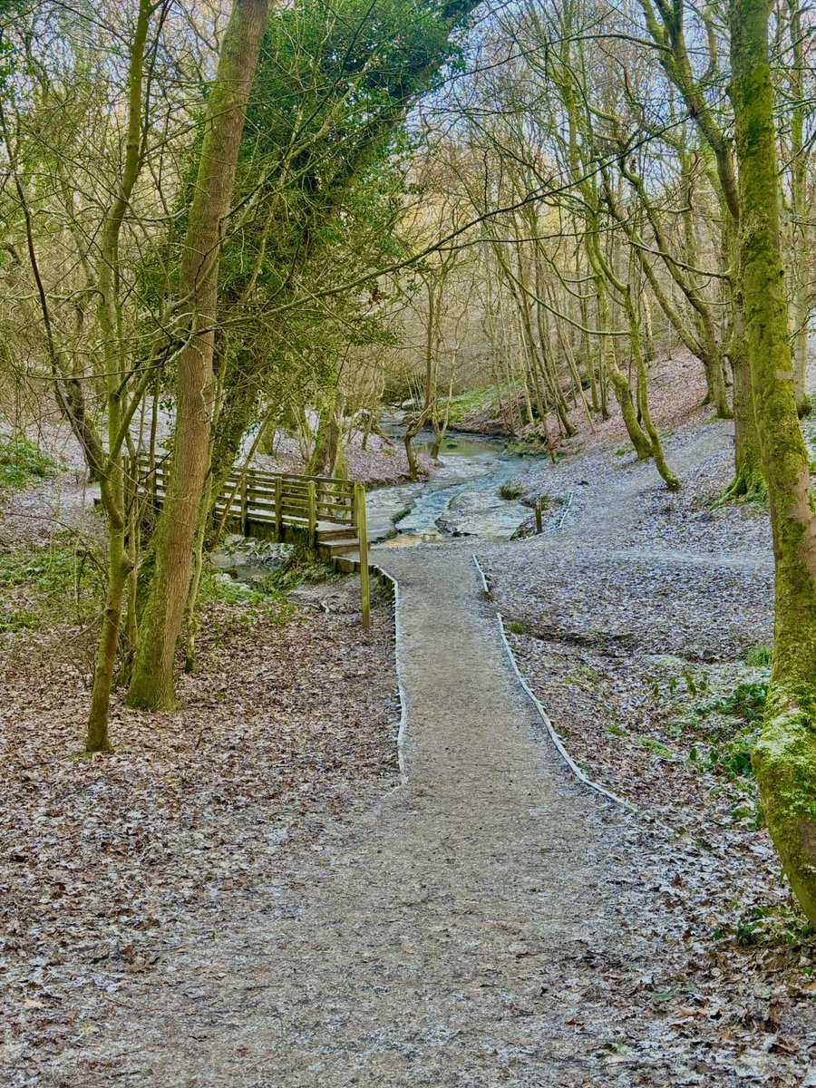 Robert Donaldson tweet media