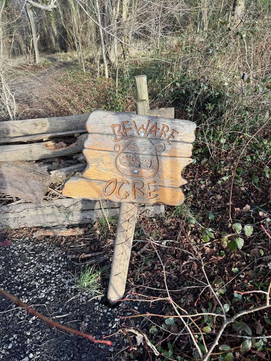 Robert Donaldson tweet media