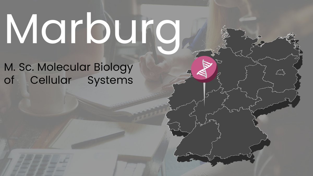 gasb_synbio's tweet photo. The last program in our #SynBioMasteratlas so far is at the @Uni_MR! Microbiology is your thing? Then you might be right here🦠! With the local Synmikro and @mpi_marburg doors are open to the world of synthetic microbiology!👇
https://t.co/hRfSLhIRhf https://t.co/wncRejca9F