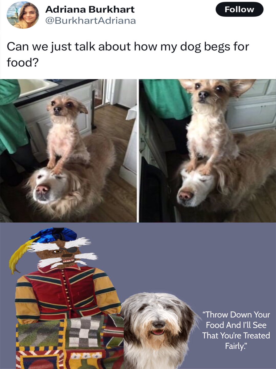 Meteorstrail's tweet image. Sir Didymus from Labyrinth