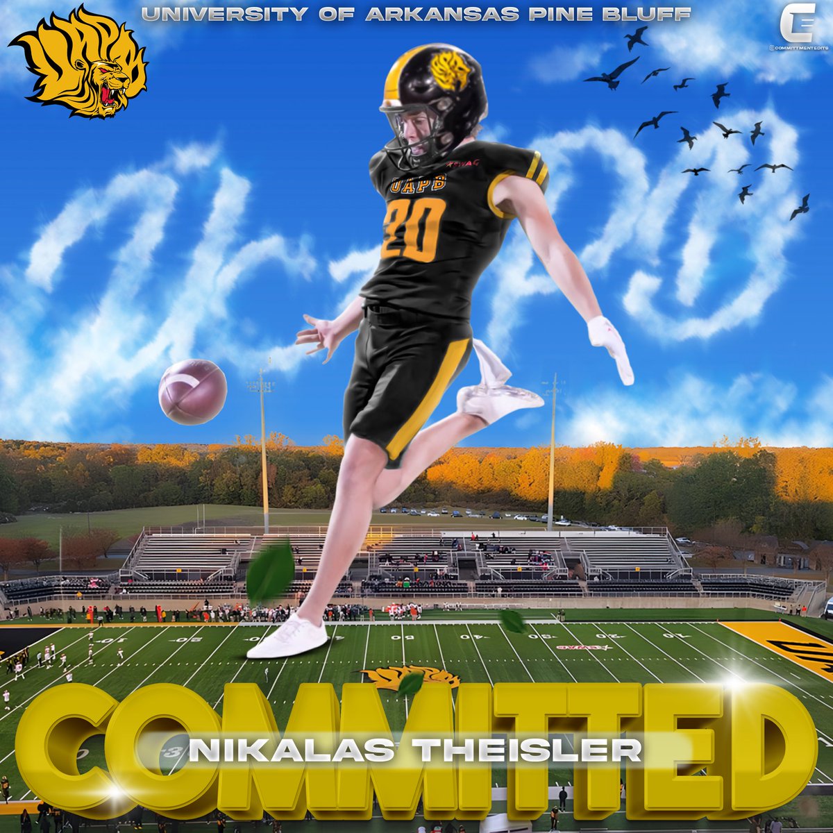 Nikalas theisler tweet media