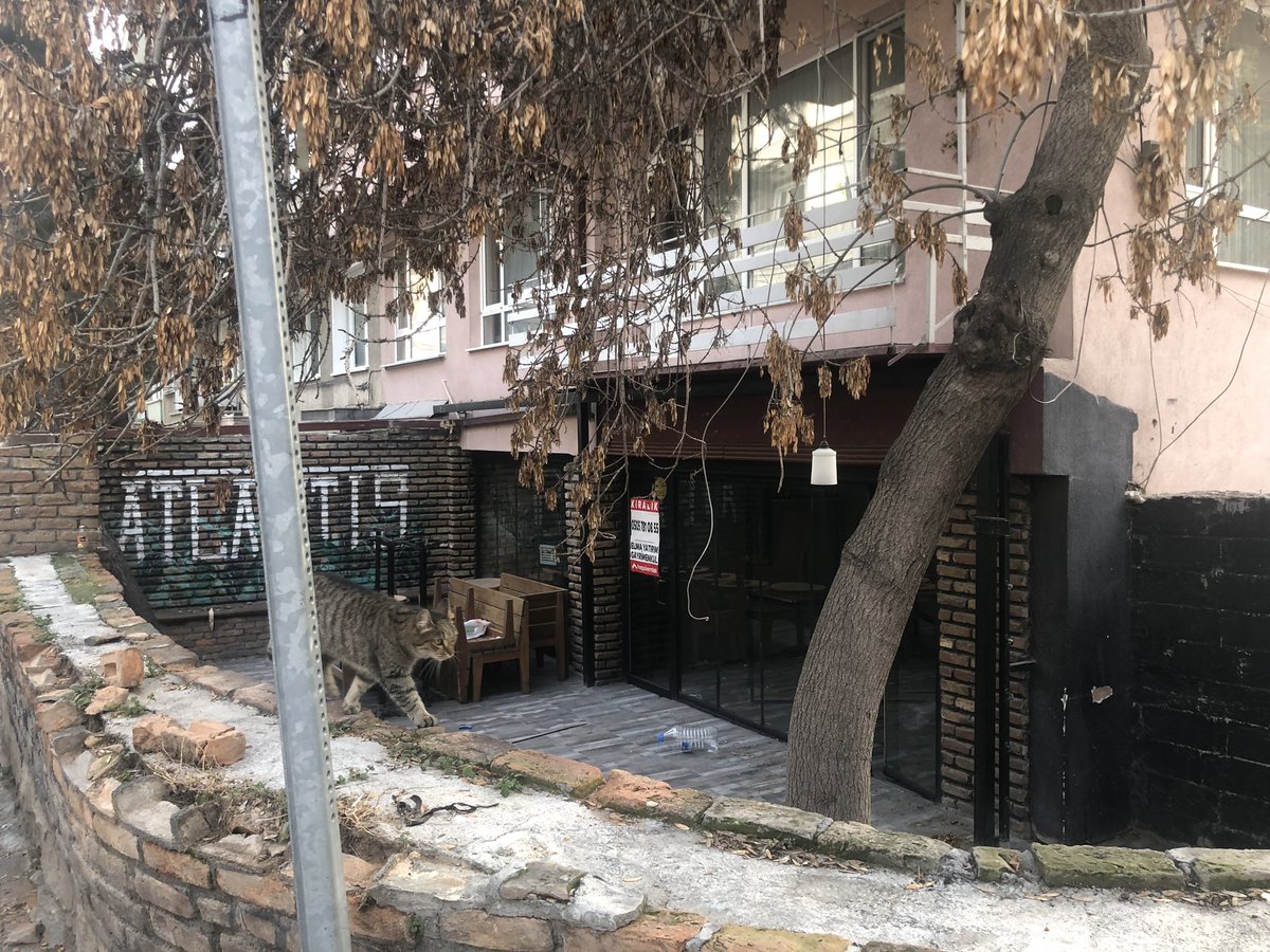 steleus_'s tweet photo. Bugün 10 yıllık safe placeimin kapısına gidip kapandığını öğrendim çok kötüyüm https://t.co/lk7e30tAhQ