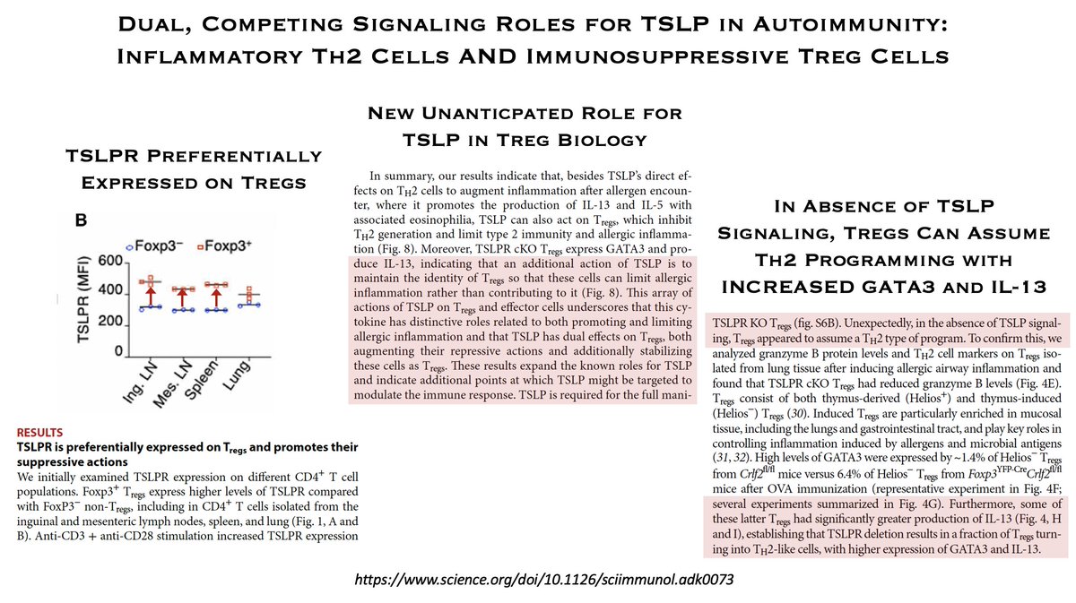 HOThomasWPhelps's tweet photo. Paper complicates #TSLP mAbs for autoimmune diseases #asthma #atopicdermatitis
Canon: TSLP alarmin promotes #Th2 inflammation
New role: TSLP essential for #Treg suppressive activity as TSLPR more highly expressed on Tregs
Which bios in this space?
https://t.co/eUaoGB7YJk https://t.co/dJfreQ2ky7