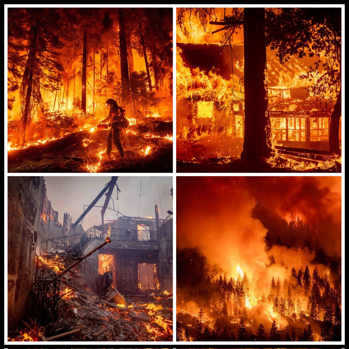 RKooshky's tweet photo. #LosAngelesFire #LosAngeles
:: God's promise ::
From the grain of wheat only wheat grows, and from the sowing of oppression only fire grows in this world and hell.
#Reminder
#GazaHolocaust and #LosAngelesFires
#FireGod for help to Palestine.
#FreePalestine https://t.co/3nt3ibanN1