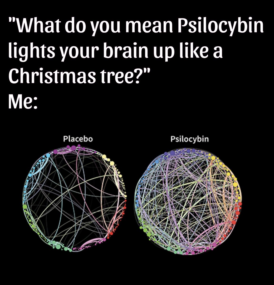 Psilocybin lights your brain up 🧠✨