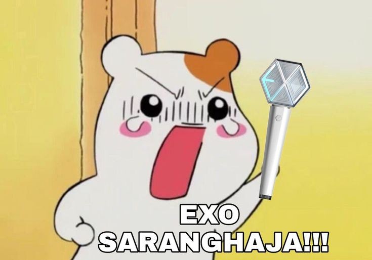 oohafiqah's tweet photo. "DON'T TOUCH ME, I'M EXOL" https://t.co/3MMZwakPnr