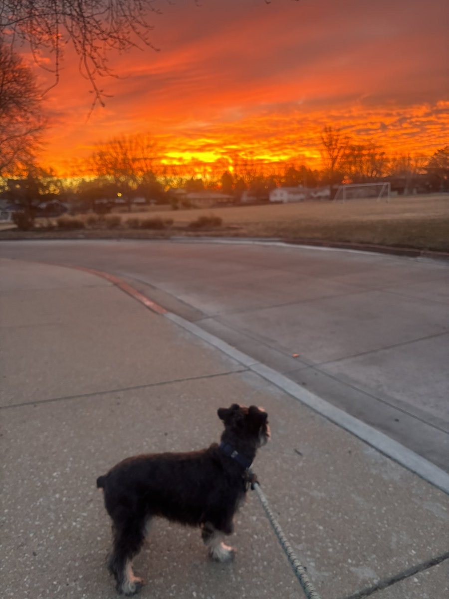 Good morning. 🐶☕️🌅