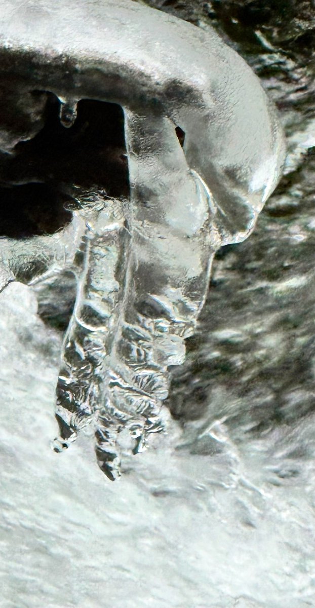 foosrock's tweet image. #icicles