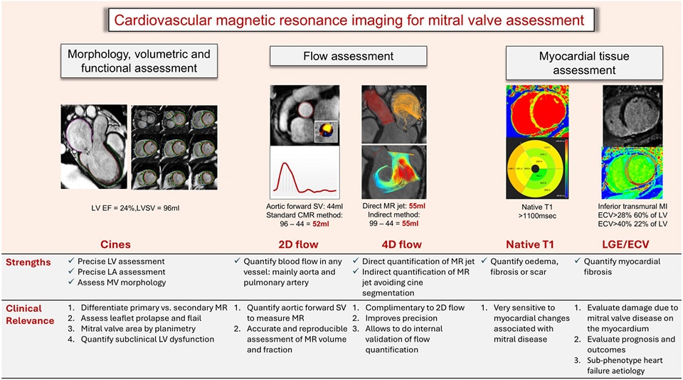 The Heart tweet media
