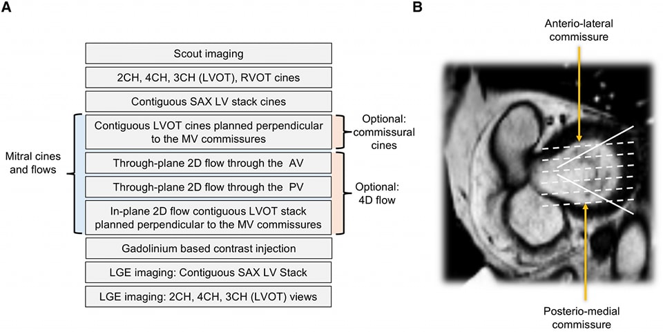 The Heart tweet media