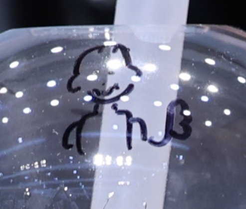 sensessen's tweet photo. 현태가 히카루 컵에 그린 그림 ヲヲヲ https://t.co/KB1mAwXWu6