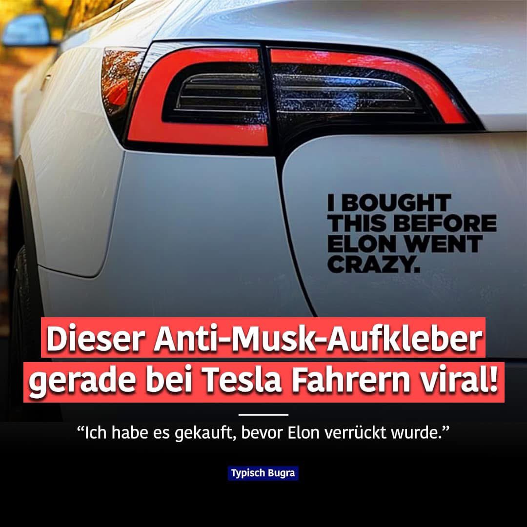 RausNazisraus7's tweet photo. @Tesla #boycottTesla
#noTesla
#neverTesla https://t.co/SSpOZR6bmJ