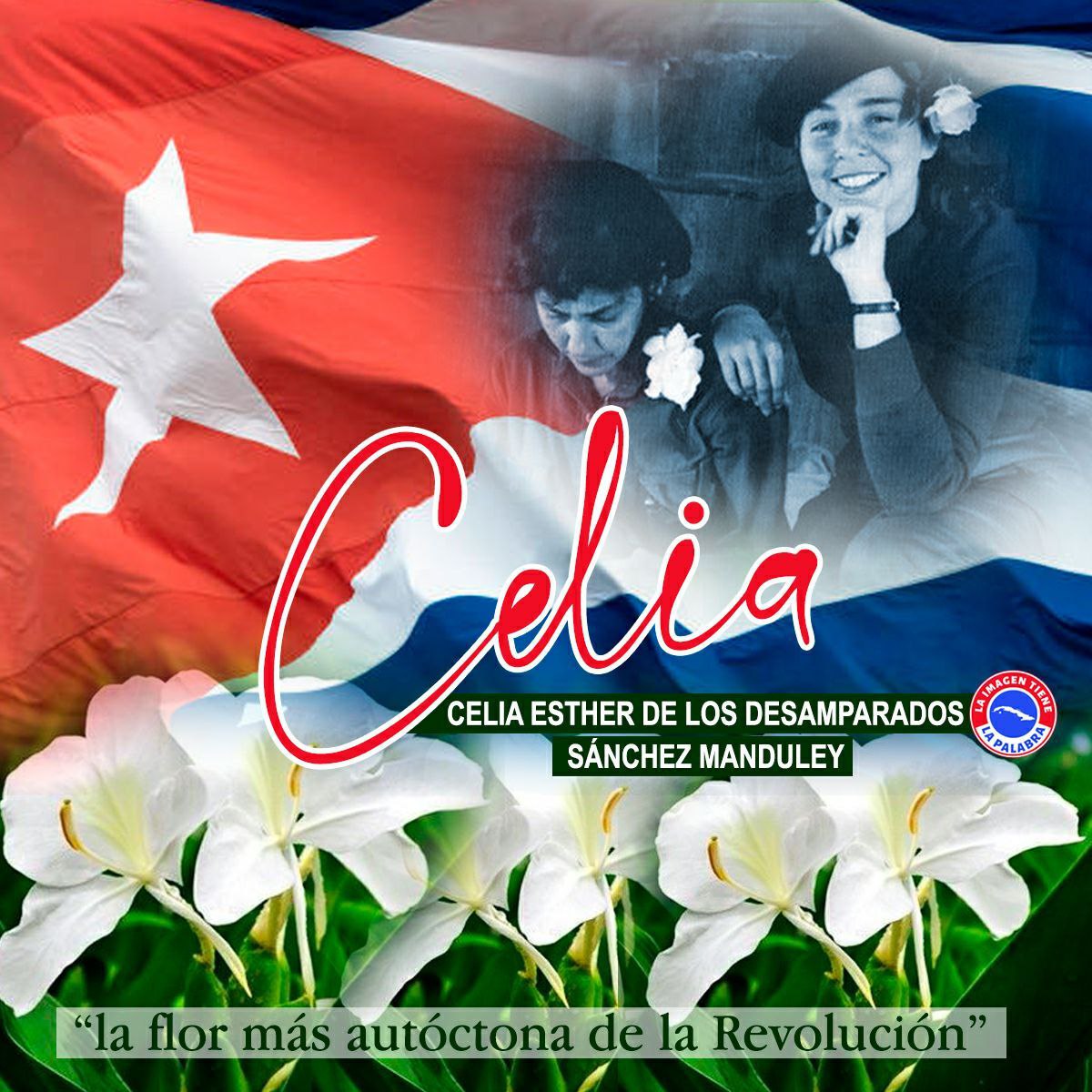 CSI Montalbán Parroquia la Vega Estado Distrito Capital 
El legado de Celia perdura no solo en la memoria de aquellos que la conocieron, sino en las políticas y avances sociales que contribuyó a forjar."La flor más autóctona de la Revolución
#CeliaVive
#EjercitoDeCelias