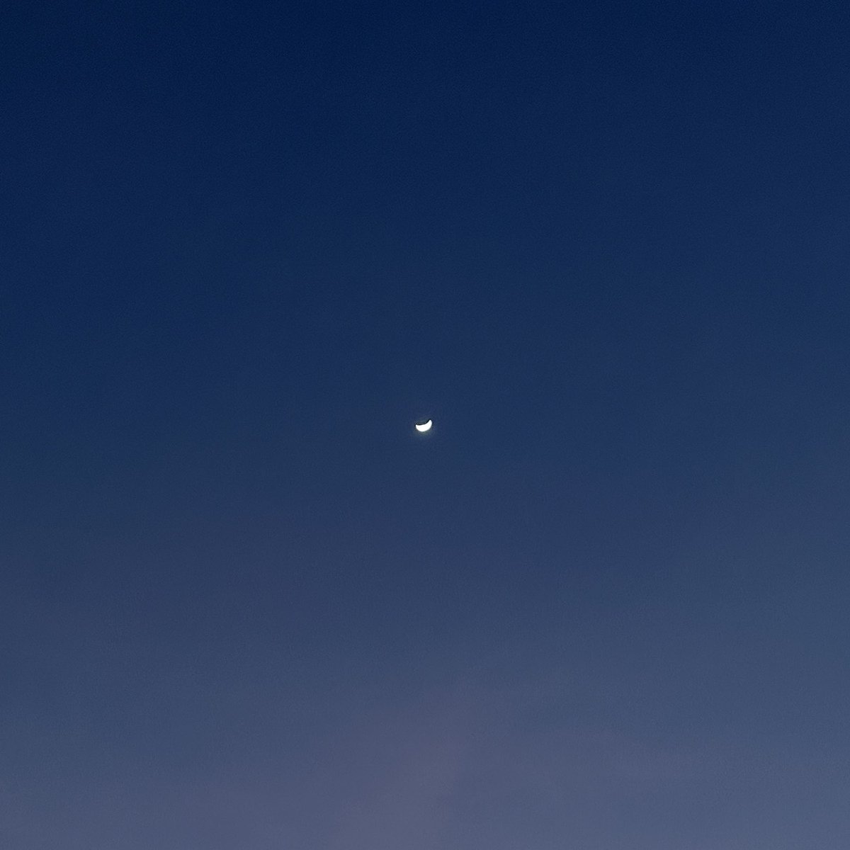 𝒑𝒆𝒂𝒄𝒉𝒆𝒔 𝒂𝒏𝒅 𝒄𝒓𝒆𝒂𝒎 ♡ ⊹´ˎ˗ tweet media