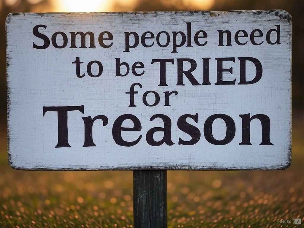 DonSpringbilly's tweet photo. @visegrad24 Of course he did. Everyone knows that the drug addled little grifter knows everything right? It’s going to be hilarious when the orange grifter gets jealous of you getting more publicity than him! Then it’s adios to you! Go back to Africa if they let you back in! https://t.co/1Yy2axi8tf