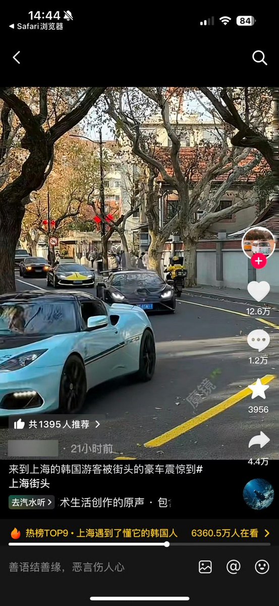 珠颈斑鸠 tweet media