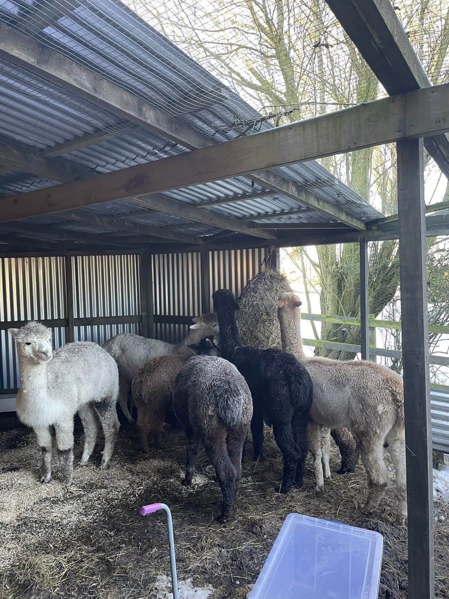 Sarah Cockburn-Price tweet media