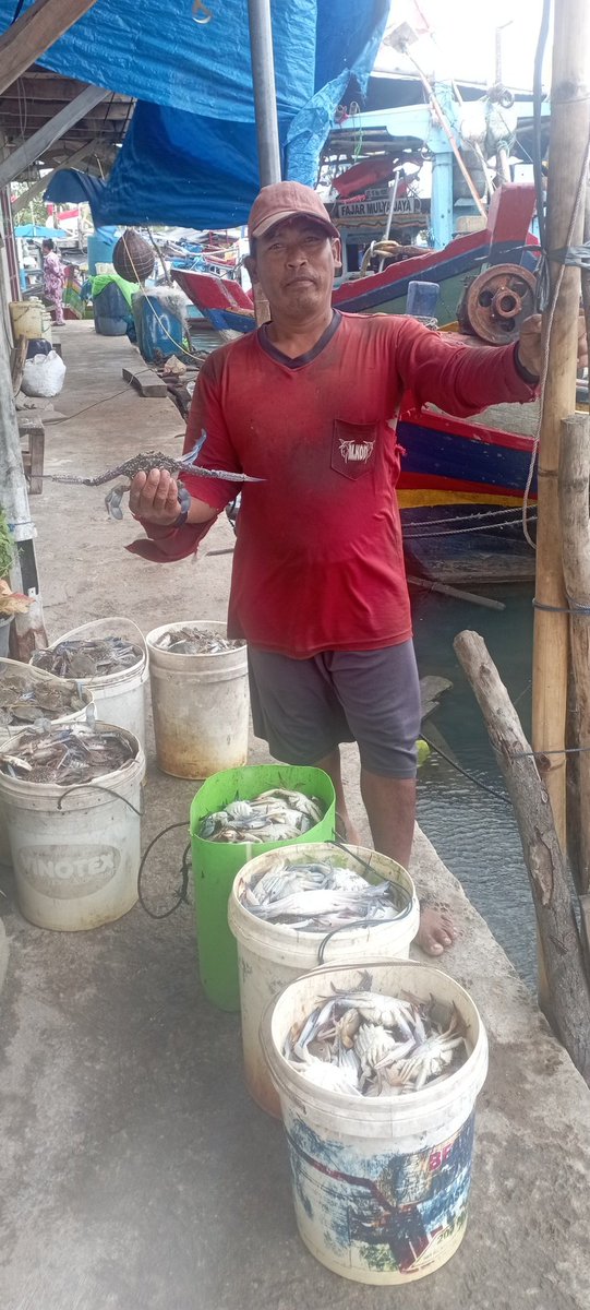 Darius Maloring tweet media