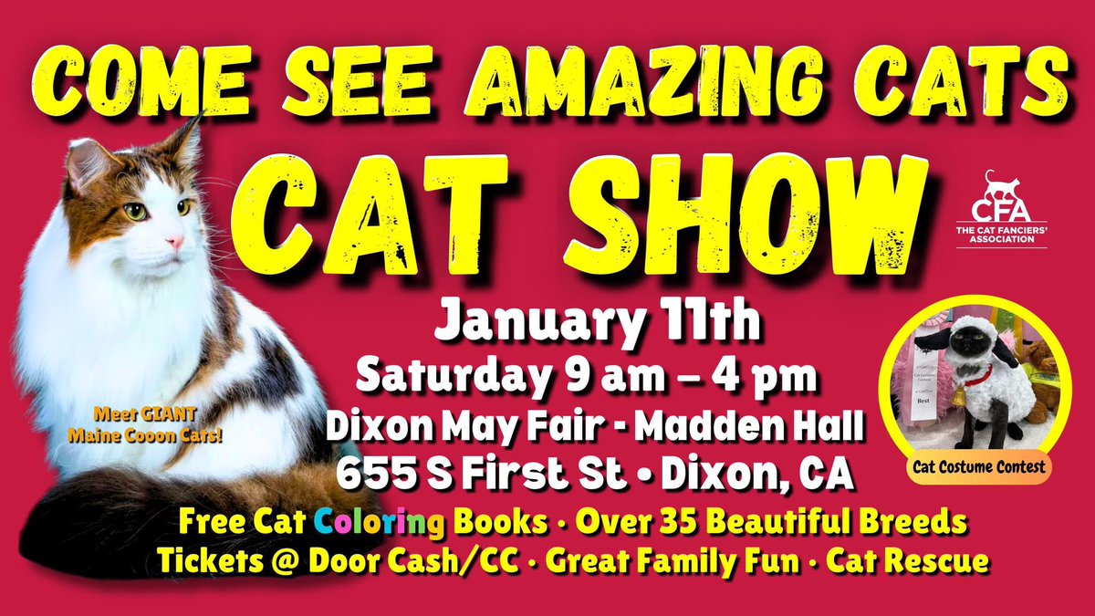 We will be up in Dixon for this show today supporting our partner Super Fur-iends! Come out, meet cats, and lets talk about how normal special needs cats are!