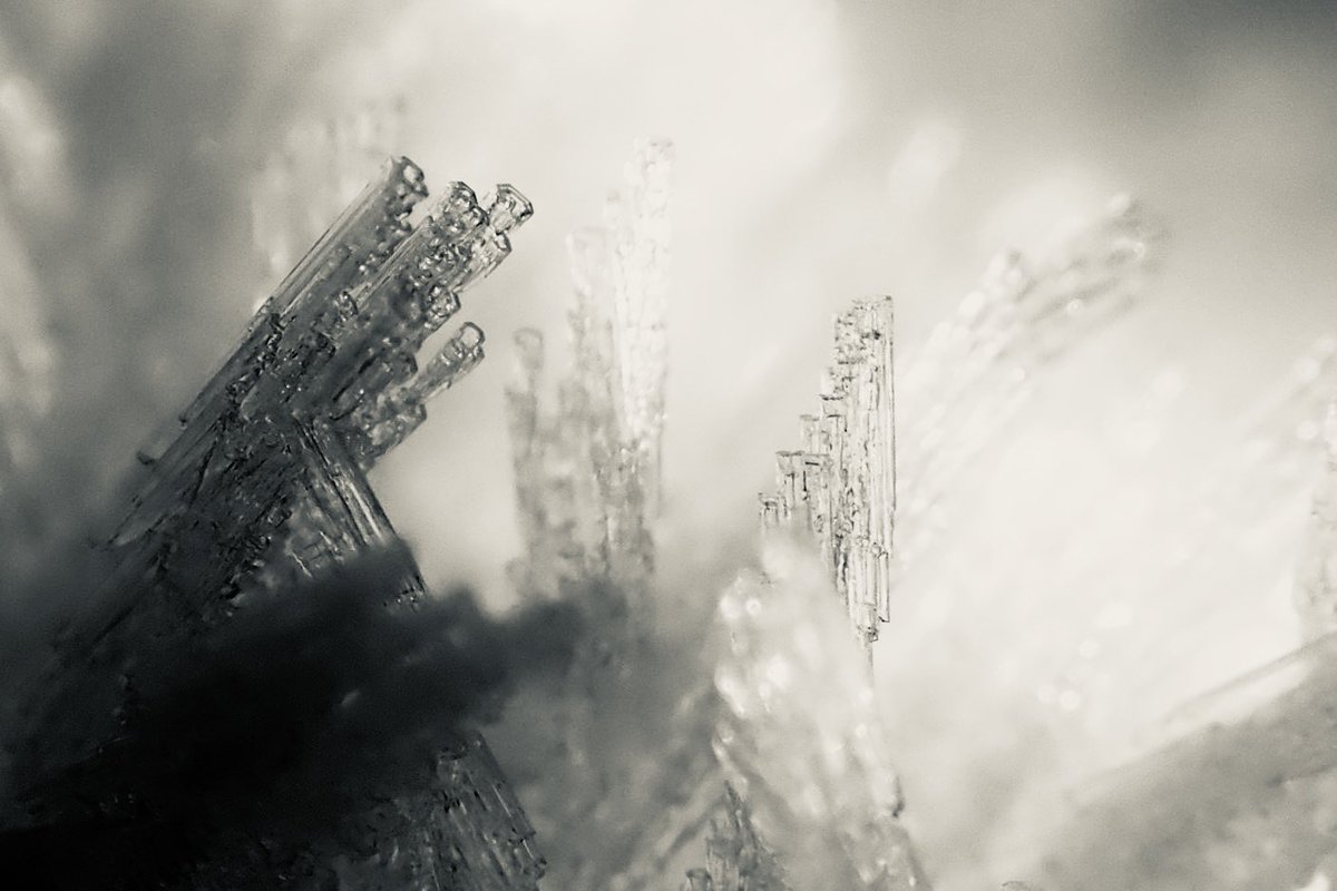 Fiona_Konca's tweet photo. Fed and watered the birds, and then spent some time appreciating the ice formations on top of the wheelie bin.
Simple winter pleasures.
.
.
.
.
.
#Abstract #Closeup #Frost #Ice #Icecrystals #Macro #Photography #Otherworldly #Surreal #Winter #Winterwonderland https://t.co/2XsZ1DwKgZ