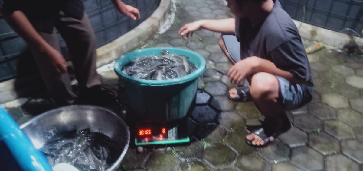 Darius Maloring tweet media