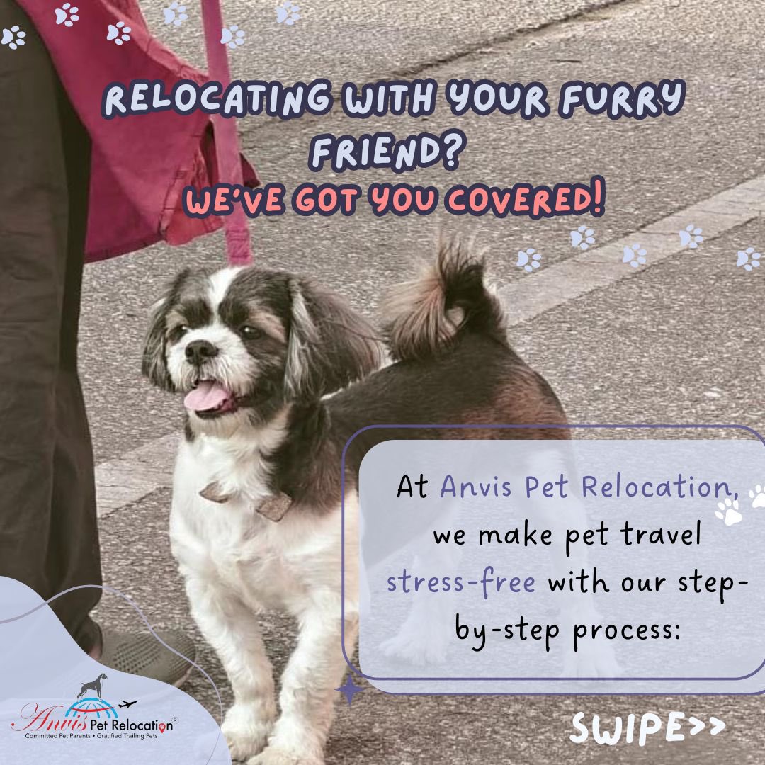anvisinc's tweet photo. 🐶Step-by-step process of relocating pets with Anvis✈️

#anvis #petboarding #petboardingbangalore #pets #petfriendly #petlovers #petrelocation #dogs #dogs #fyp #fypシ https://t.co/GrKr7mHonN