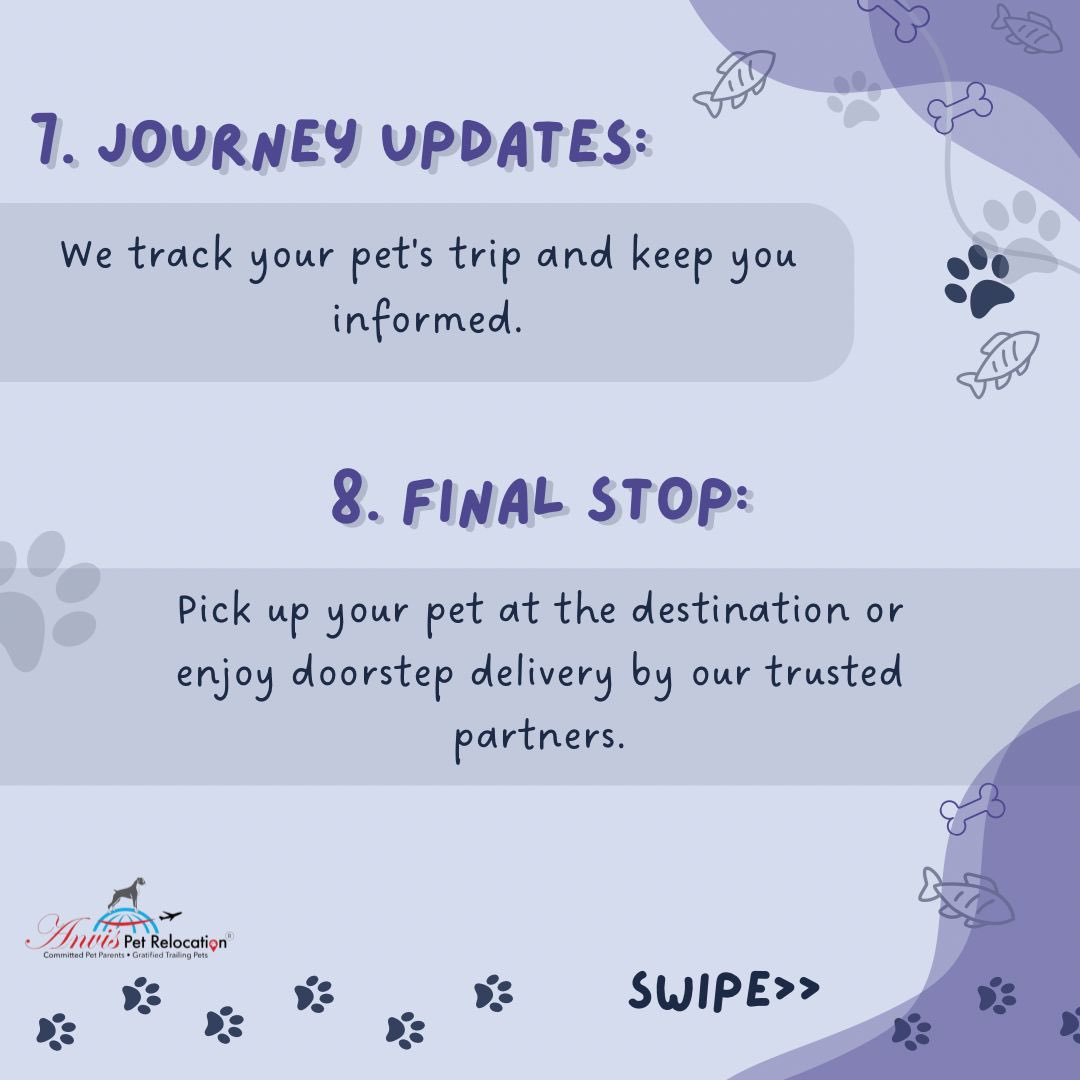 anvisinc's tweet photo. 🐶Step-by-step process of relocating pets with Anvis✈️

#anvis #petboarding #petboardingbangalore #pets #petfriendly #petlovers #petrelocation #dogs #dogs #fyp #fypシ https://t.co/GrKr7mHonN