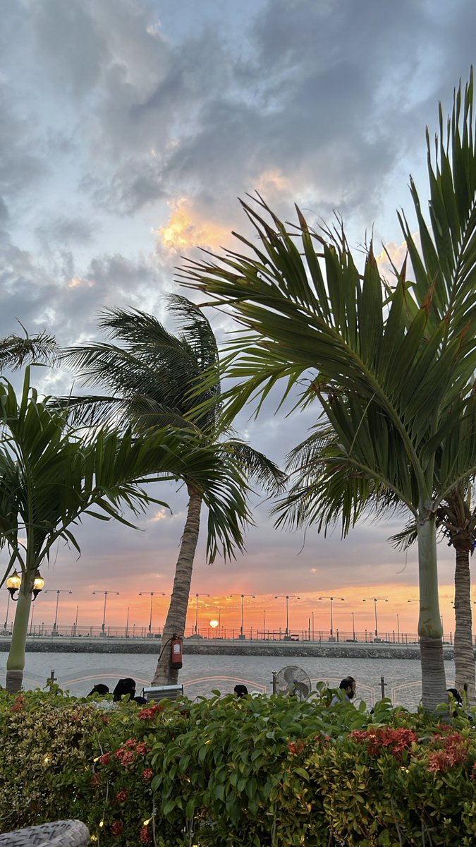 spid9sb's tweet photo. •Belajio 🌴 https://t.co/xwqkhVkGw0
