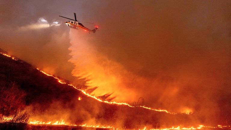 BackOurBlue's tweet photo. As fires continue to destroy LA, please keep everyone in your prayers. First Responders, people, and their pets losing their homes and especially the wild animals. Hundreds if not thousands have already died. Their habitats are gone; and so is their food/water supply. 😢🙏❤️ https://t.co/O40Vzd0q8L