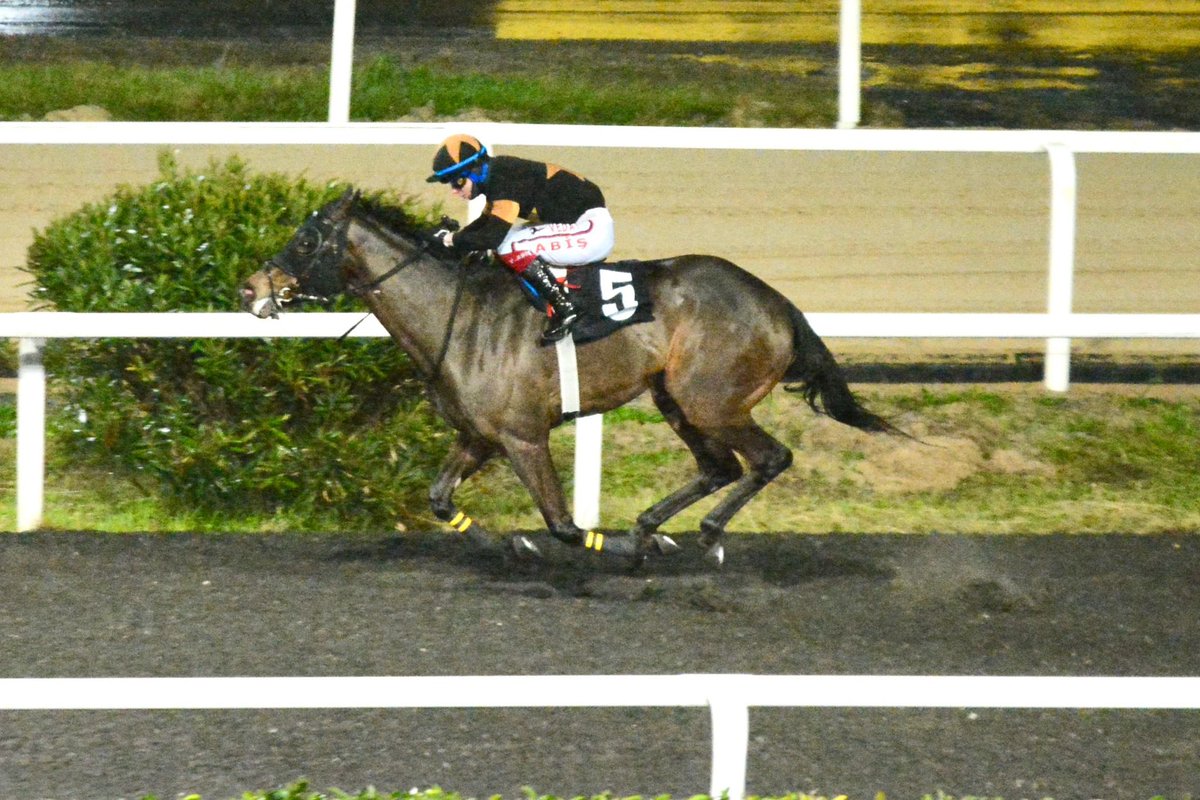 Sanduhan kazanmaya devam ediyor 🧿🧿 <a href="/vedat_abis/">Vedat Abiş</a>