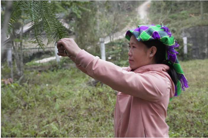 Timely, targeted cash transfers have made a significant impact in 🇻🇳 to recover after🌪️ #TyphoonYagi. <a href="/UNDPVietNam/">UNDP in Viet Nam</a> with <a href="/Refugees/">UNHCR, the UN Refugee Agency</a> has supported 1,000 people and their households get back on their feet ahead of #LunarNewYear2025. Lý Thị Bìn says "It is a huge burden lifted off my