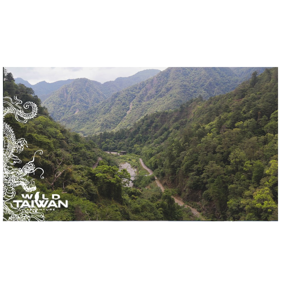 SimonJMcCabe's tweet photo. Stunning views at Basianshan National Forest Recreation Area.

Wild Taiwan Adventure
Thursday 16th Jan 7pm on my YouTube channel.

#WildlifePhotography, #NaturePhotography, #WildlifeLovers, #NatureLovers, #WildlifeShots, #WildlifePhotographer, #NaturePhotographer #PlanetEarth https://t.co/EXXs2zcERX