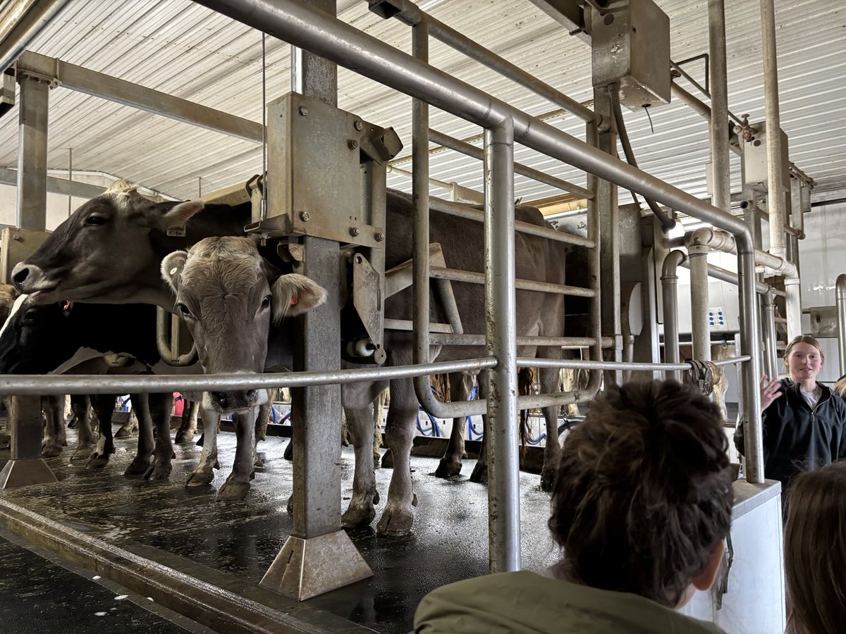LynnerTrista's tweet photo. Farm to Table visited Fairbanks Dairy Farm Friday! https://t.co/KyooB00Zep