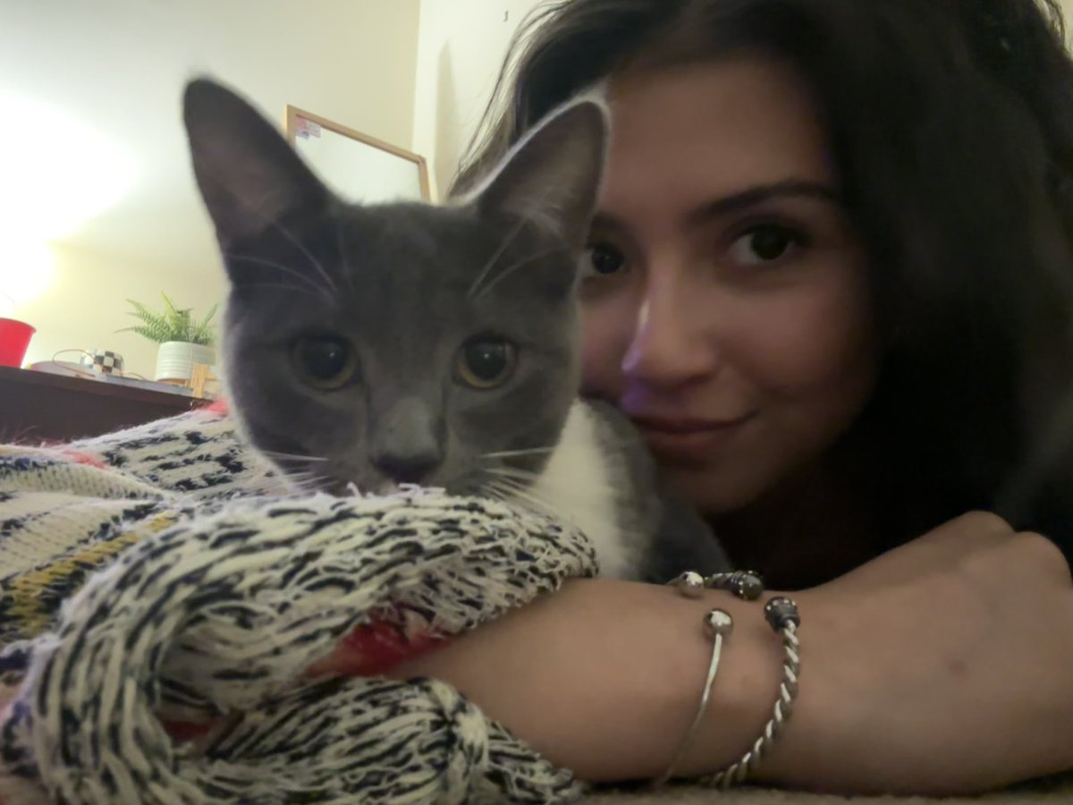 sheilabeass's tweet photo. #Caturday https://t.co/llnBkBXTQ9