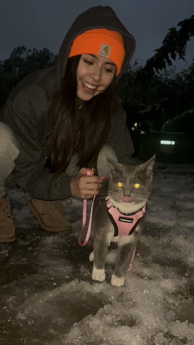 sheilabeass's tweet photo. #Caturday https://t.co/llnBkBXTQ9
