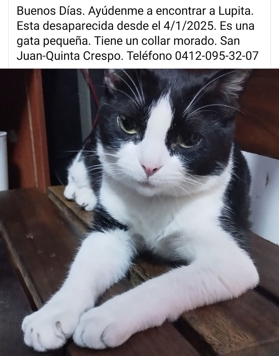 Se busca a Lupita, Quinta Crespo-San Juan, Caracas