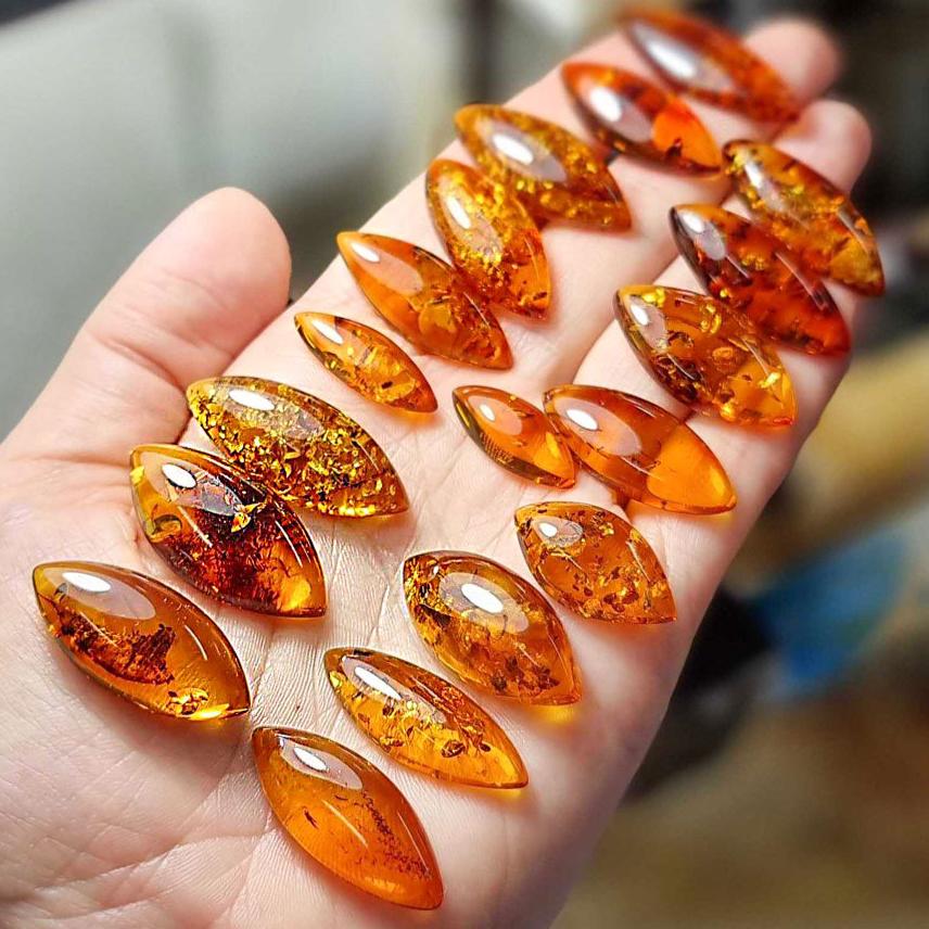 AMBER ALEX tweet media