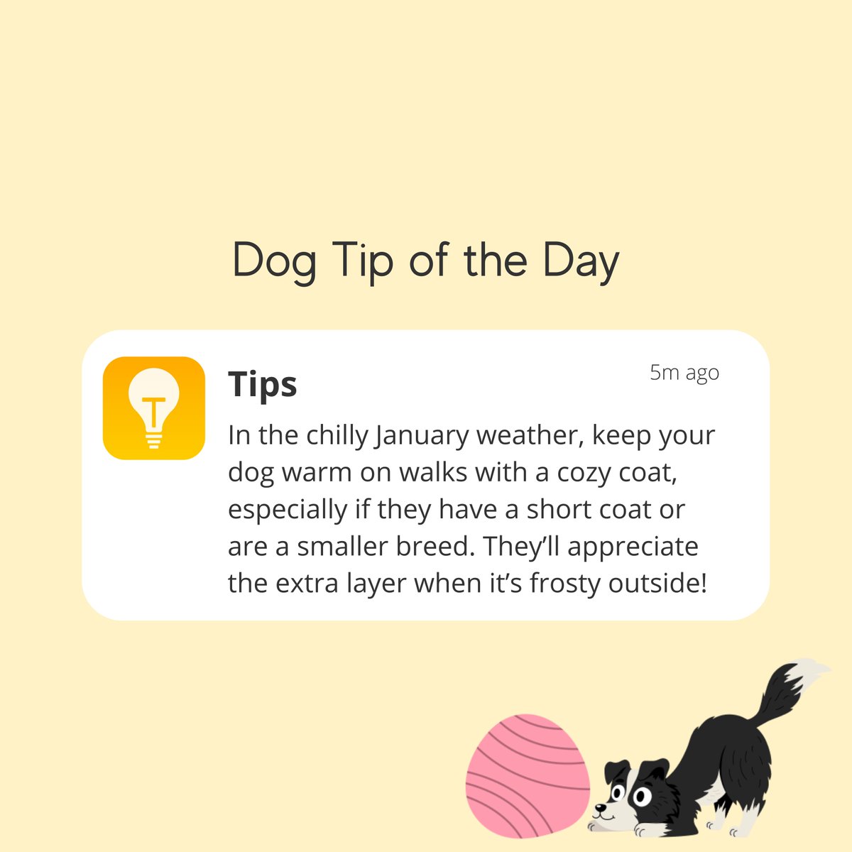 Keeping your dog snug and comfy means more wagging tails and happy strolls, even in the chill of winter. Stay warm out there, pups and paw-rents! ❤️🐶

#dogcare #dogwalking #winterdogs #puppylife #dogparents #dogtips #doglove #petcaretips #cozydogs #dogmom #dogdad #doginsurance