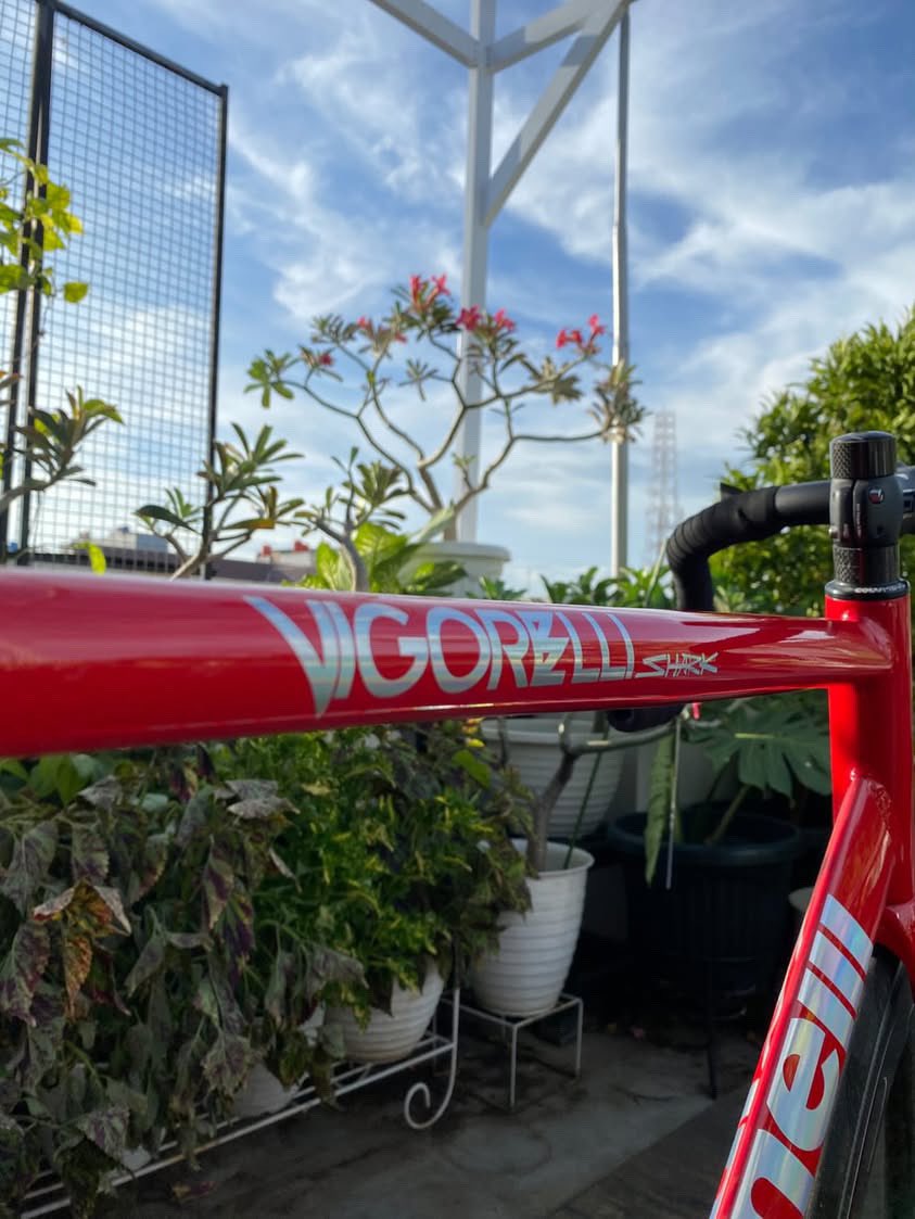 dinobagas's tweet photo. WTS SEMI FULLBIKE 
Cinelli vigorelli Shark 2021 Size 59
Detail di foto ya 
Minat wa: 087779132958
#fnfjb 

Buka harga 40jt nego 

Notes: 
Tanpa 
- whellset depan
- crankset
- sadel https://t.co/OVP0RyeTS6