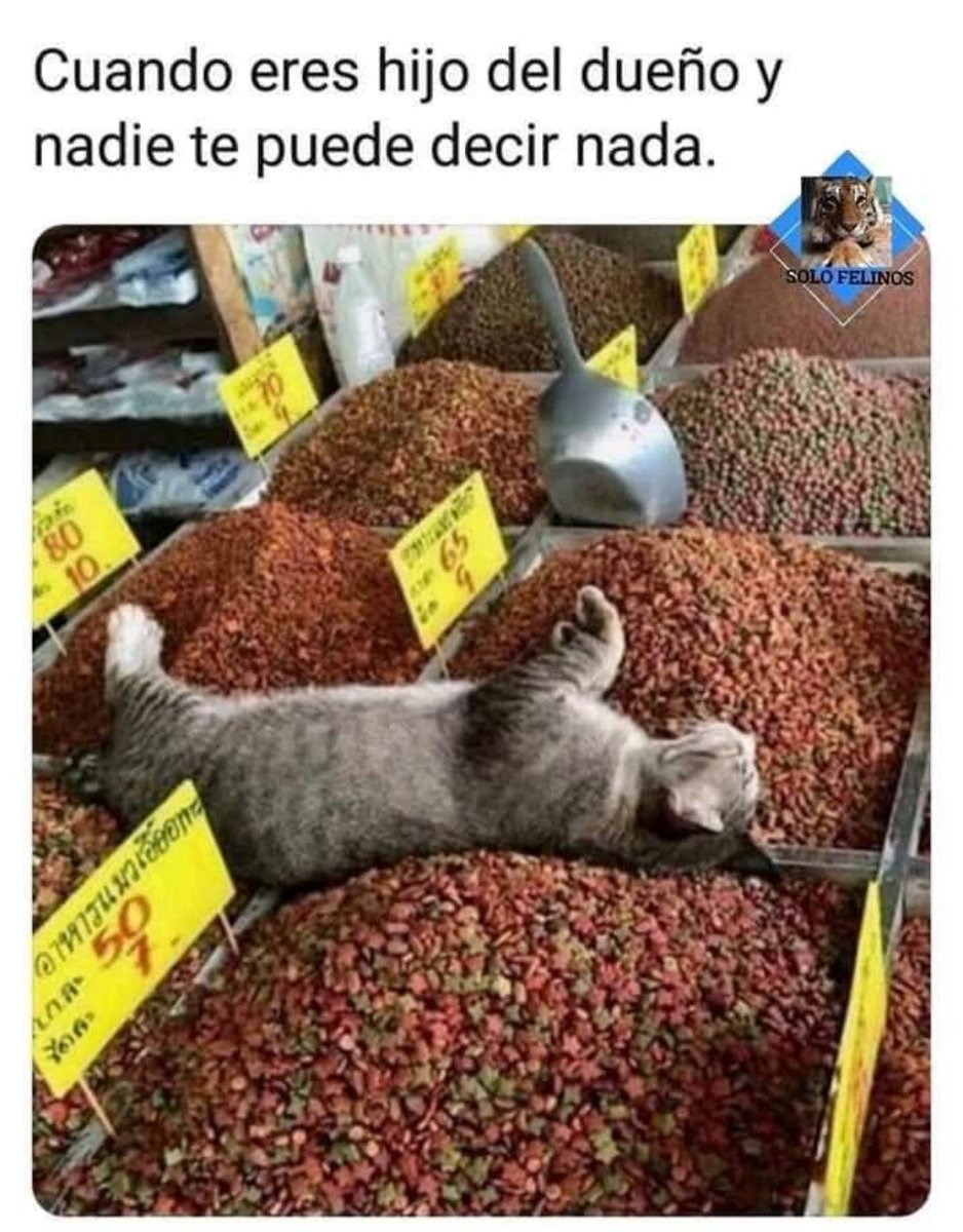 migomez67's tweet photo. https://t.co/JToecqzBRr