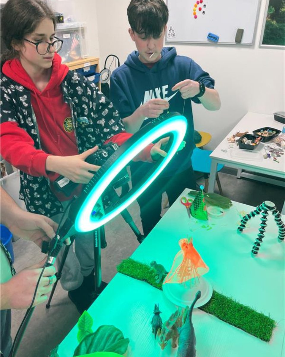 In Focus tweet media