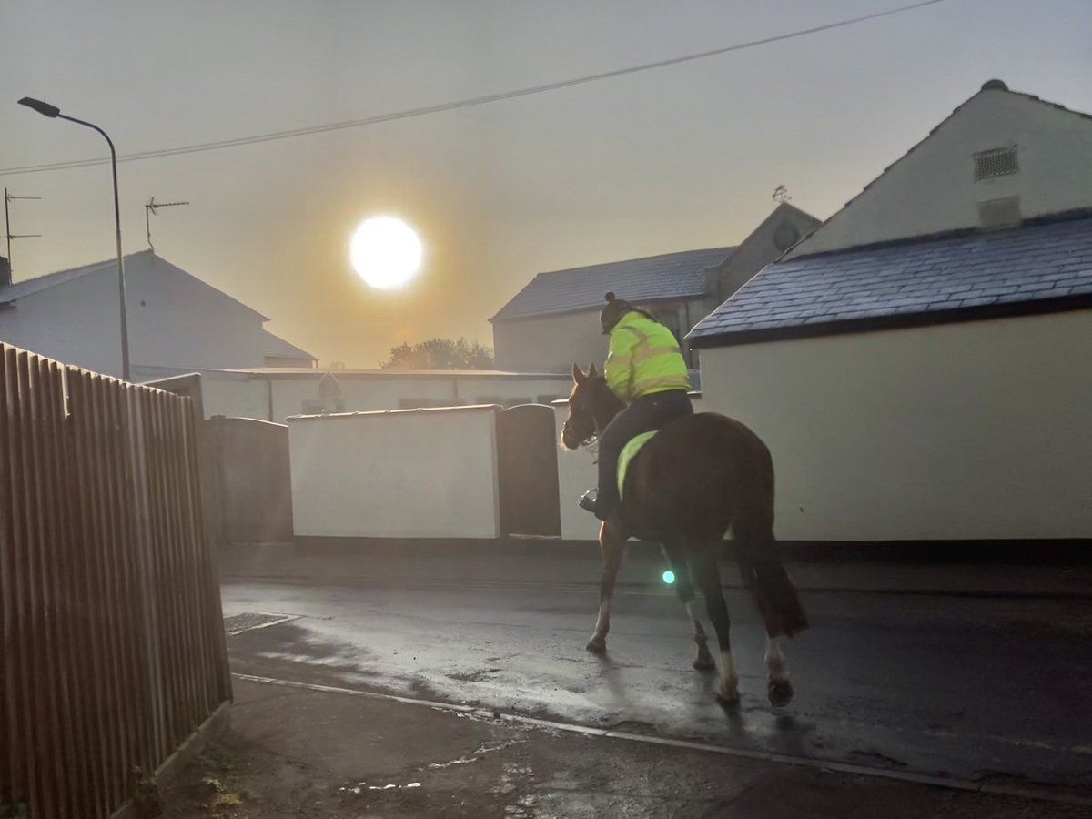 More photographs from a very cold but very beautiful morning in Newmarket. We’ll miss these frozen conditions when the mud has returned #VictorTrumper #Merrijig #LittlePeter #Duchess