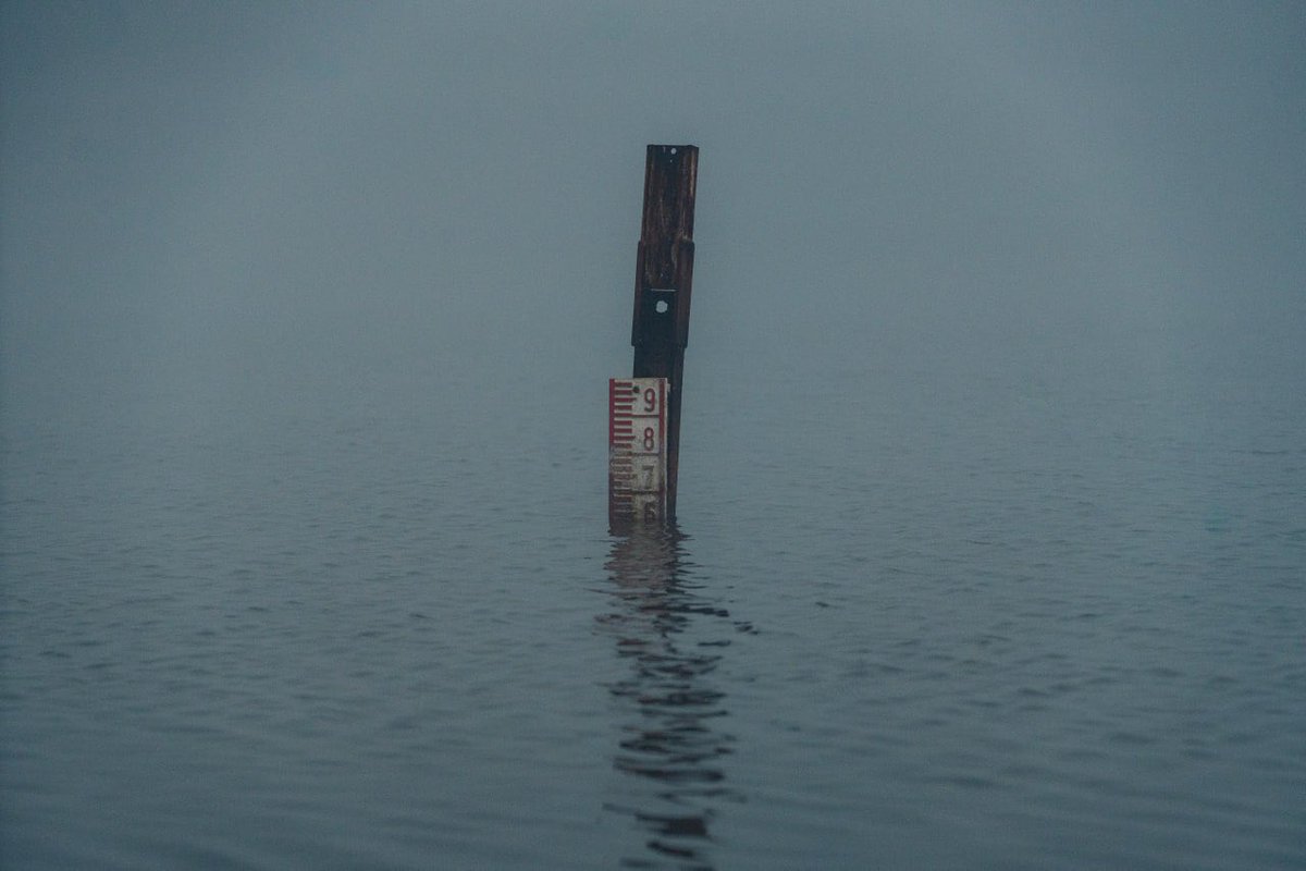 Santi Donaire tweet media