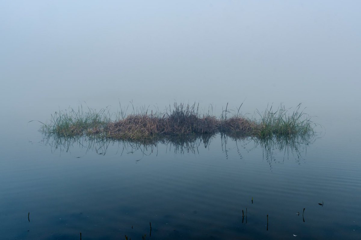 Santi Donaire tweet media