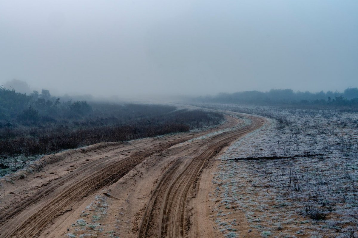 Santi Donaire tweet media