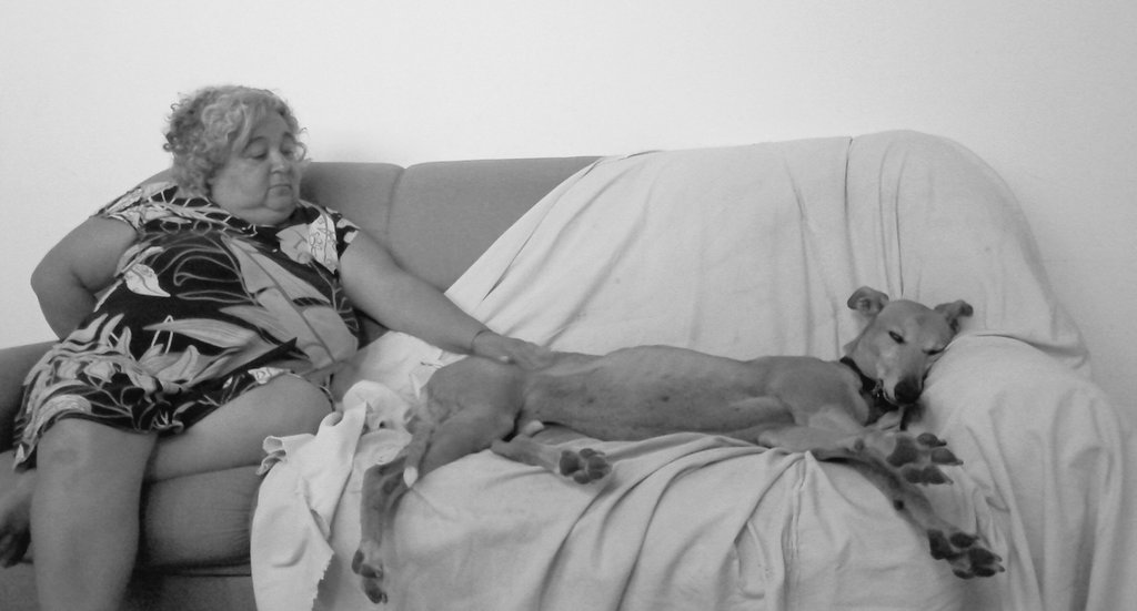 ClaraRecuna's tweet photo. No quiero más perros acá, óleo sobre lienzo. https://t.co/0YpQujuVRH